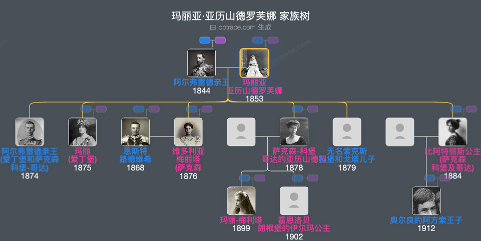 玛丽亚·亚历山德罗芙娜家族树全览