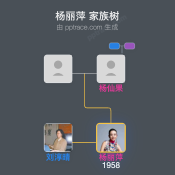 杨丽萍 家族树全览