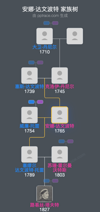 安娜·达文波特家族树全览