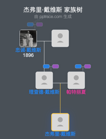 杰弗里·戴维斯家族树全览