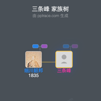 三条峰家族树全览
