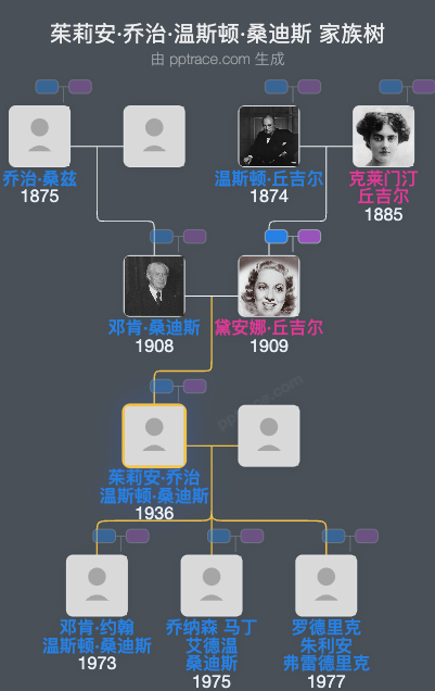 茱莉安·乔治·温斯顿·桑迪斯家族树全览