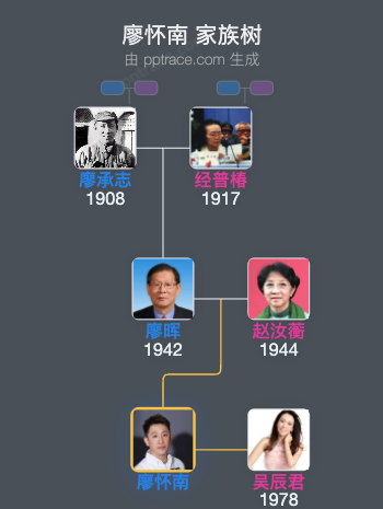 廖怀南 家族树全览