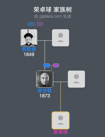 荣卓球 家族树全览