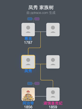 凤秀家族树全览