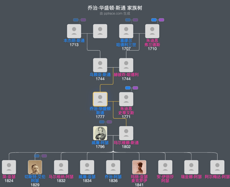 乔治·华盛顿·斯通家族树全览