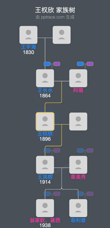 王权欣 家族树全览