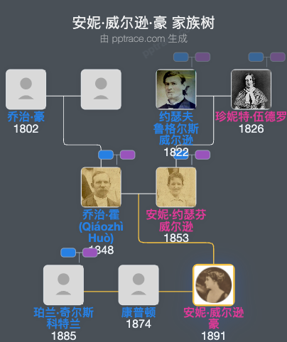 安妮·威尔逊·豪家族树全览