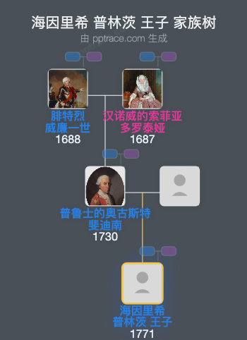 海因里希 普林茨 王子家族树全览