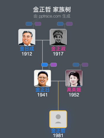 金正哲 家族树全览