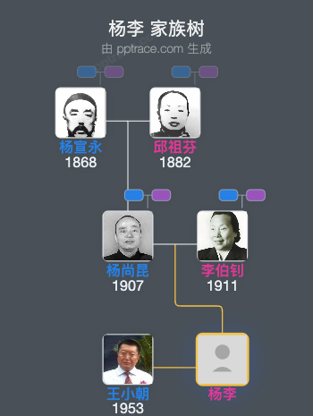 杨李 家族树全览