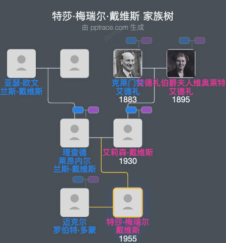 特莎·梅瑞尔·戴维斯家族树全览