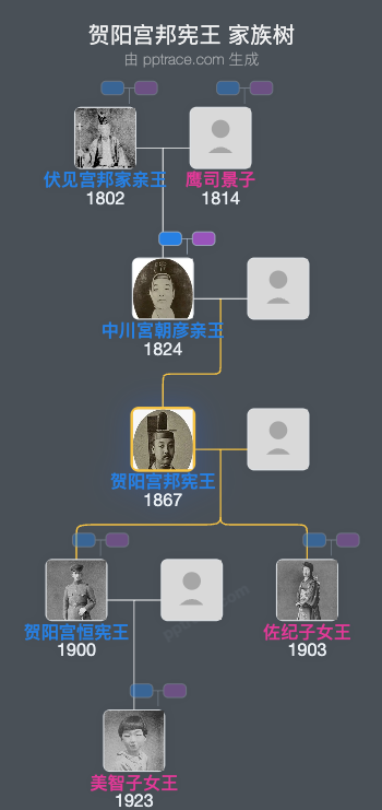 贺阳宫邦宪王家族树全览