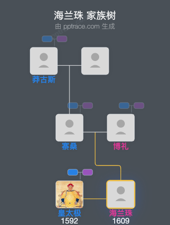 海兰珠家族树全览