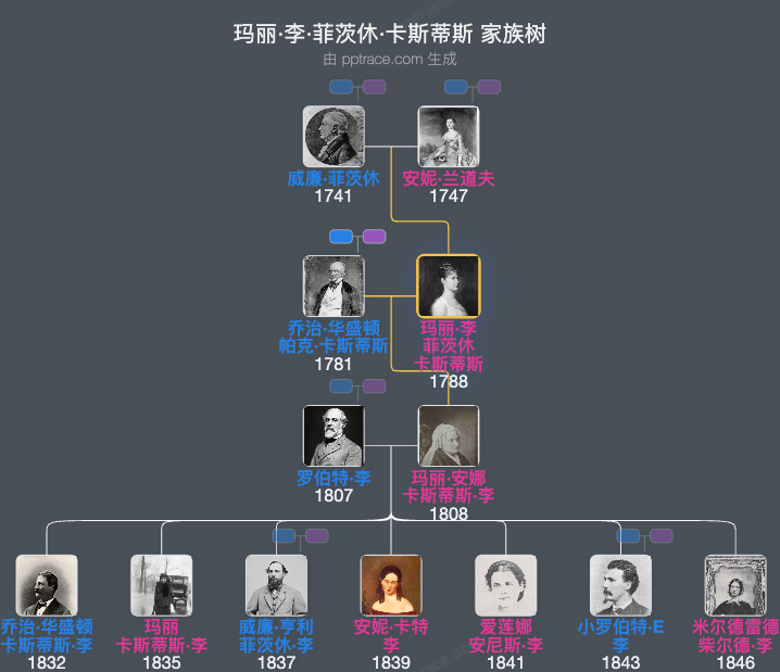 玛丽·李·菲茨休·卡斯蒂斯家族树全览