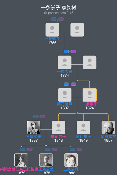 一条崇子家族树全览