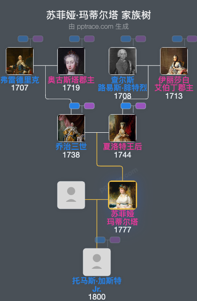 苏菲娅·玛蒂尔塔家族树全览