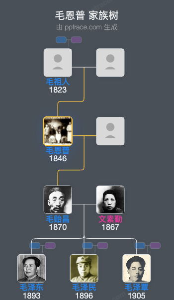 毛恩普 家族树全览