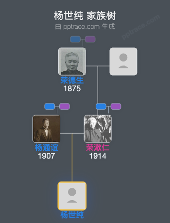 杨世纯 家族树全览