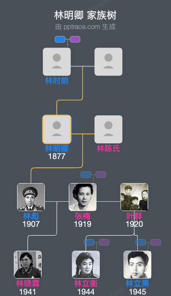 林明卿 家族树全览