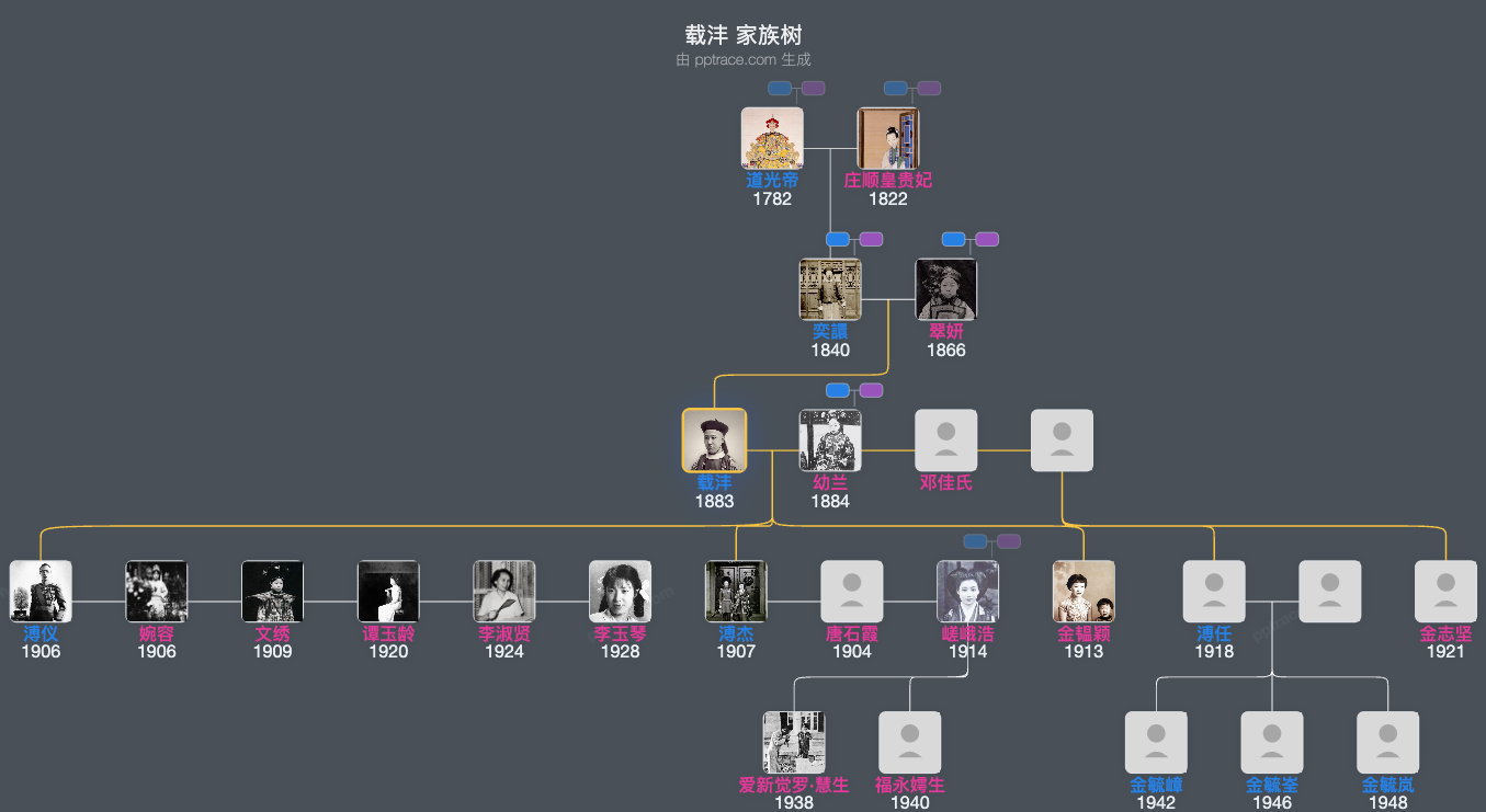 载沣家族树全览