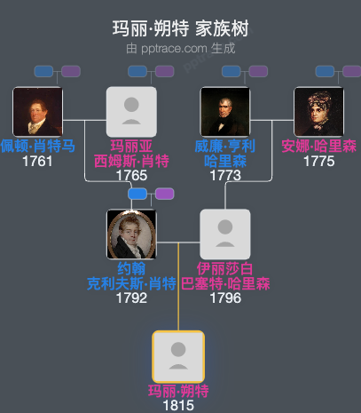 玛丽·朔特家族树全览