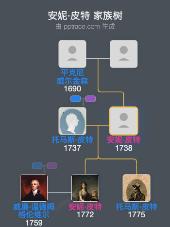 安妮·皮特家族树全览