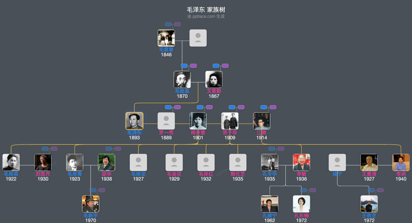 毛泽东 家族树全览