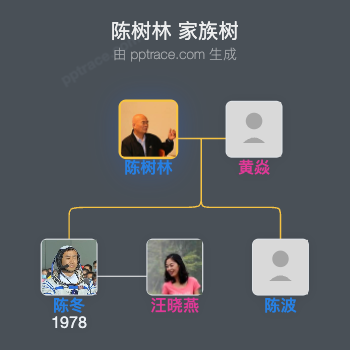 陈树林家族树全览