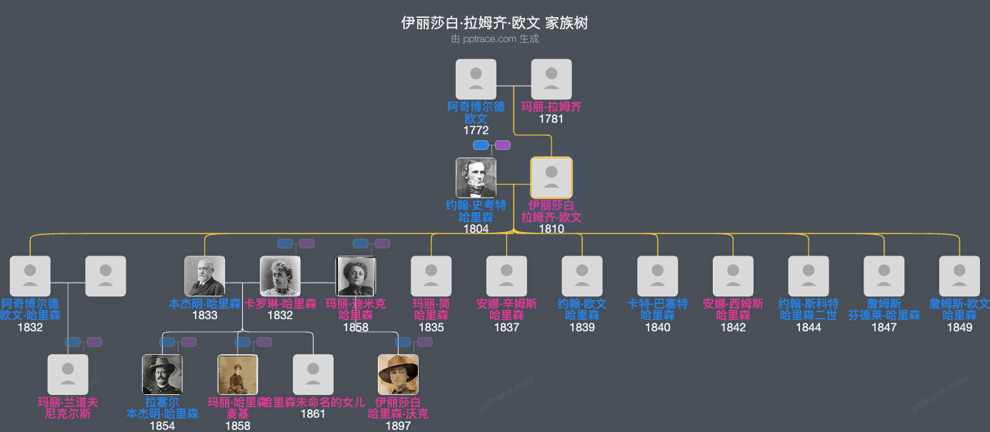 伊丽莎白·拉姆齐·欧文家族树全览