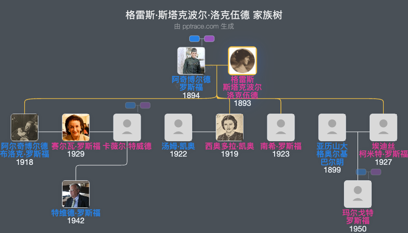格雷斯·斯塔克波尔·洛克伍德家族树全览