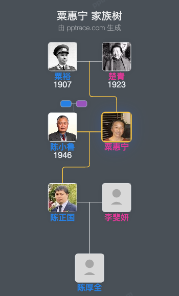 粟惠宁 家族树全览