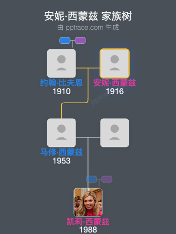 安妮·西蒙兹家族树全览
