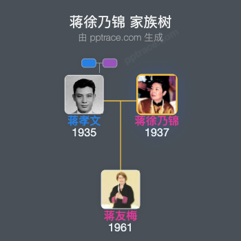 蒋徐乃锦 家族树全览