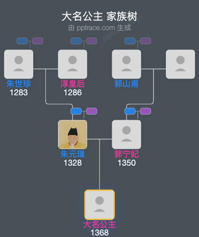 大名公主家族树全览