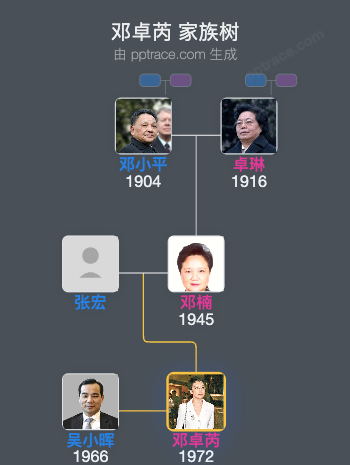 邓卓芮 家族树全览