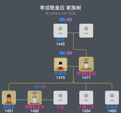 孝成敬皇后 家族树全览