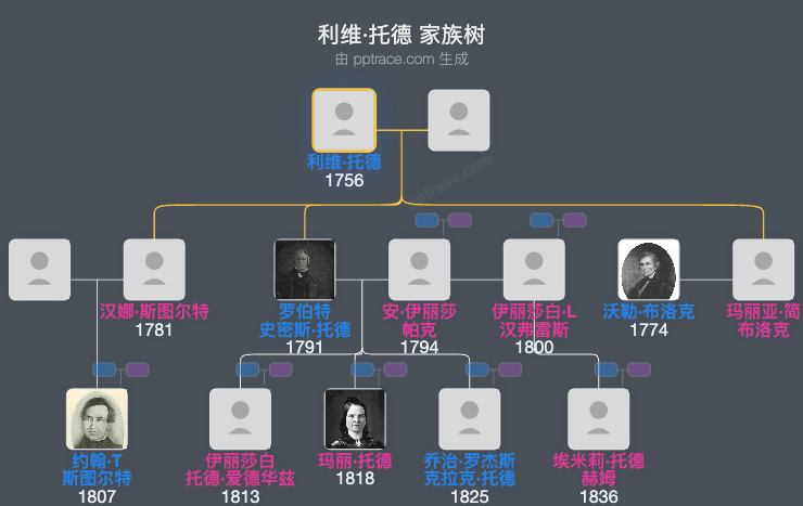 利维·托德家族树全览