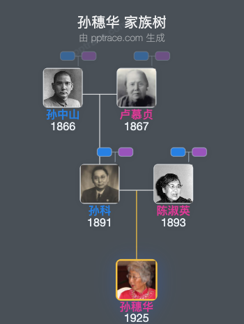 孙穗华 家族树全览