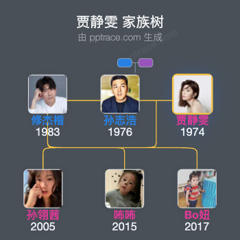 贾静雯 家族树全览