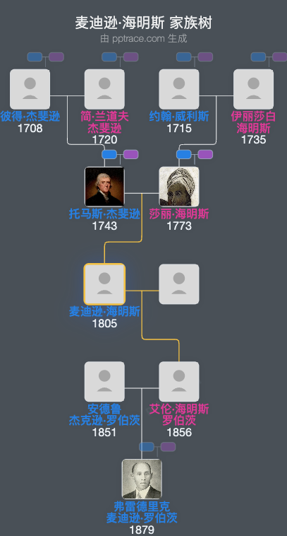 麦迪逊·海明斯家族树全览