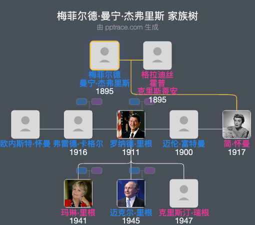 梅菲尔德·曼宁·杰弗里斯家族树全览