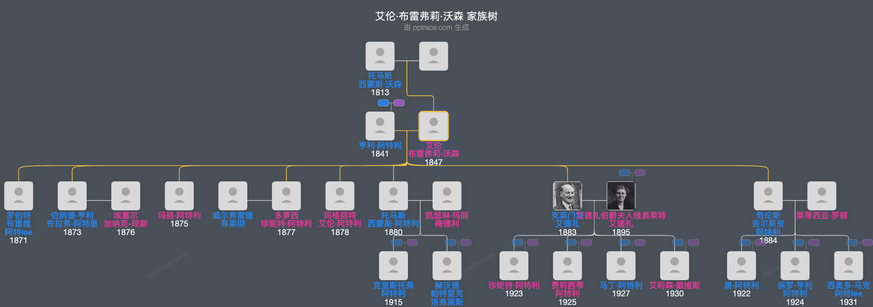 艾伦·布雷弗莉·沃森家族树全览