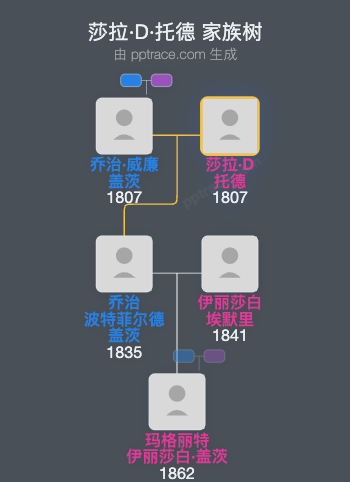 莎拉·D·托德家族树全览