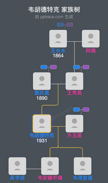 韦胡德特克 家族树全览