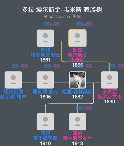 多拉·埃尔斯金-韦米斯家族树全览