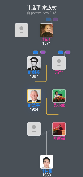 叶选平 家族树全览