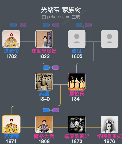 光绪帝家族树全览