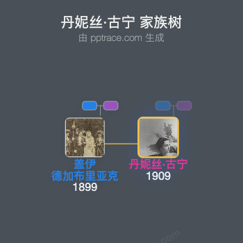 丹妮丝·古宁家族树全览