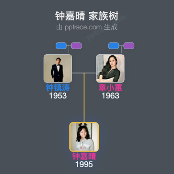 钟嘉晴 家族树全览